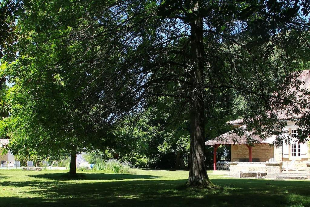 Villa Orangerie et La Chartreuse du Domaine de la Graulet à Bergerac Extérieur photo