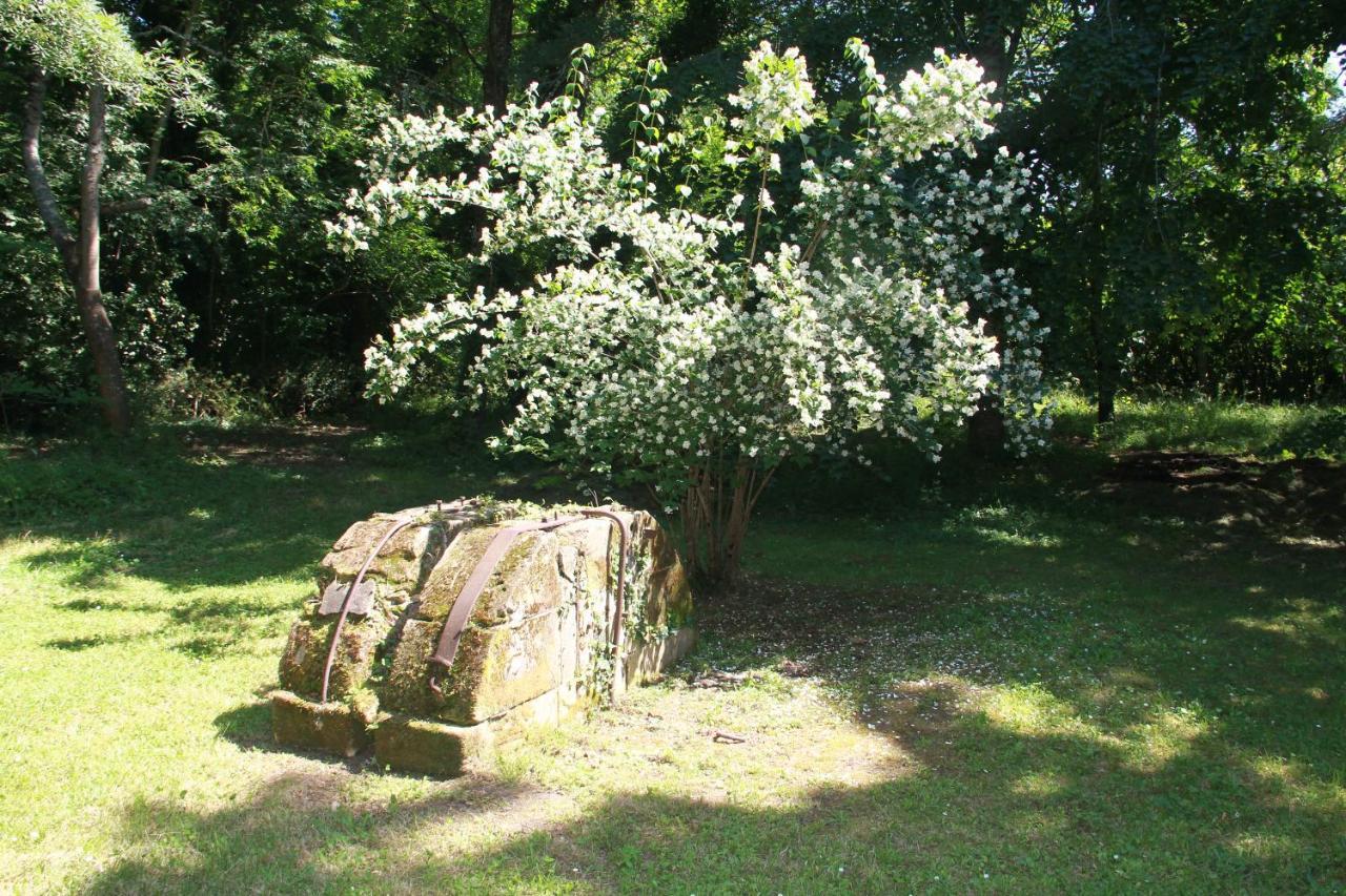 Villa Orangerie et La Chartreuse du Domaine de la Graulet à Bergerac Extérieur photo