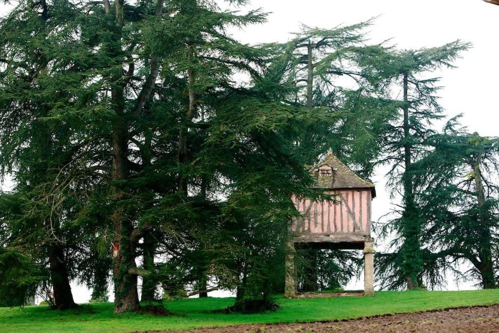 Villa Orangerie et La Chartreuse du Domaine de la Graulet à Bergerac Extérieur photo
