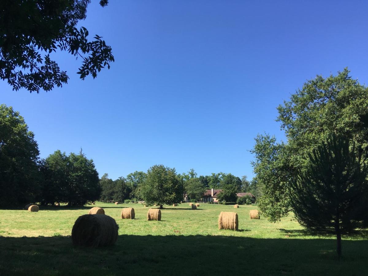 Villa Orangerie et La Chartreuse du Domaine de la Graulet à Bergerac Extérieur photo