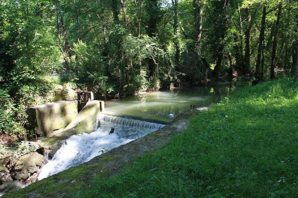 Villa Orangerie et La Chartreuse du Domaine de la Graulet à Bergerac Extérieur photo